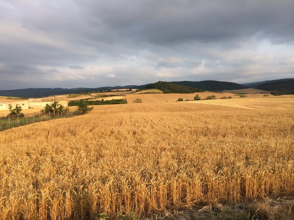 Mihotelito Viloria de Rioja Esterno foto